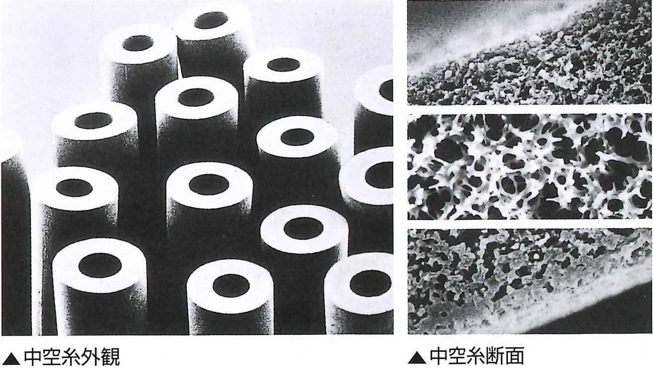 中空糸膜の電子顕微鏡写真